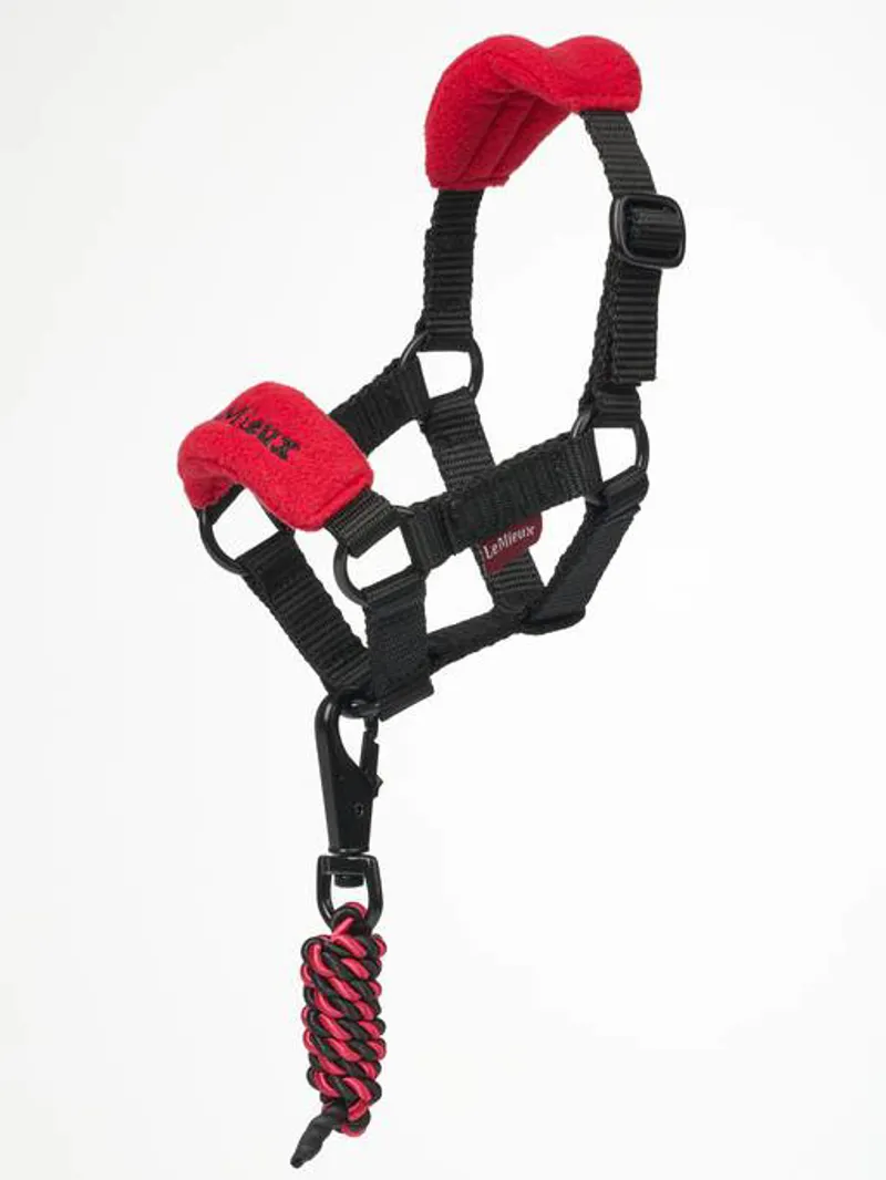 LeMieux Toy Pony Vogue Headcollar and Leadrope Chilli