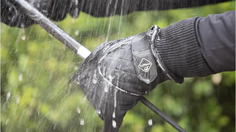 LeMieux Pro-Touch Water Proof Lite Gloves - Black