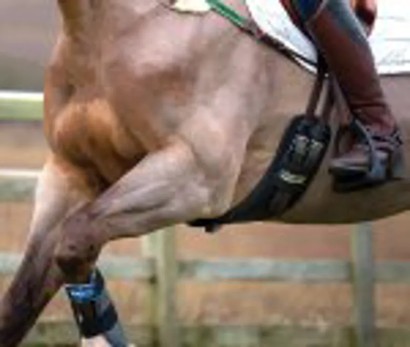 Prolite Girth Narrow - Brown Long-2