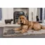 Pet Rebellion Big Softie - Taupe