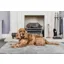 Pet Rebellion Big Softie - Grey