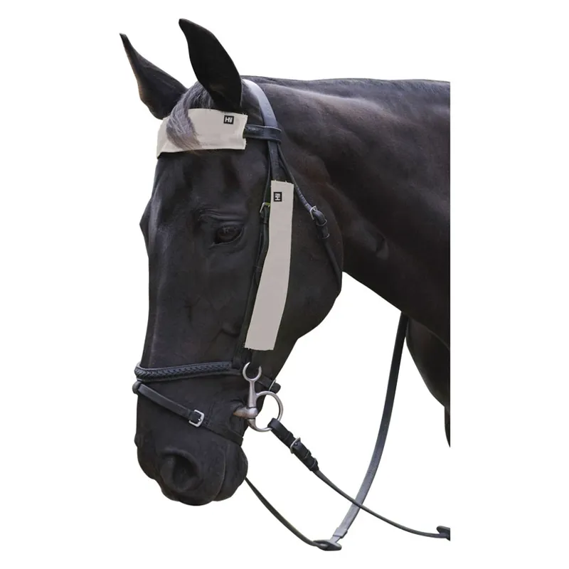 Hy Equestrian Silva Flash Reflective Bridle Set in Reflective Silver