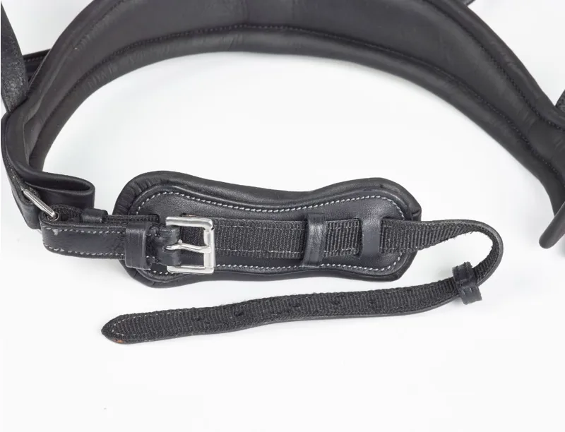 GFS Premier Prime Bridle - Brown-2