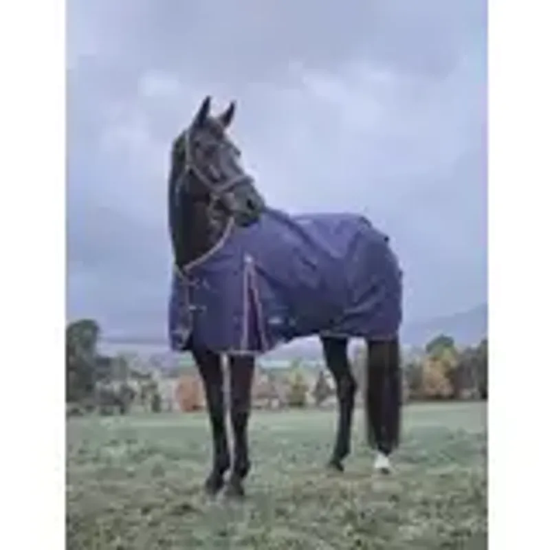 WeatherBeeta ComFiTec Essential Standard Turnout Rug 220G -4