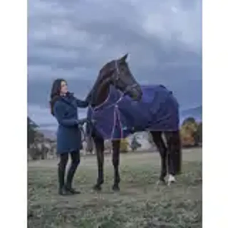 WeatherBeeta ComFiTec Essential Standard Turnout Rug 220G -2