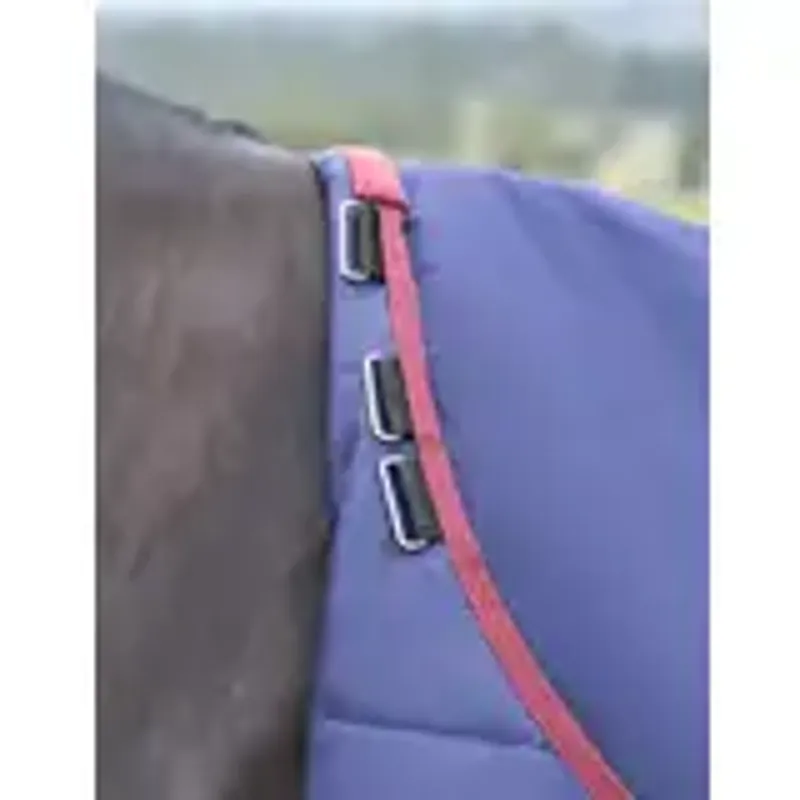 WeatherBeeta ComFiTec Essential Standard Turnout Rug 220G -9