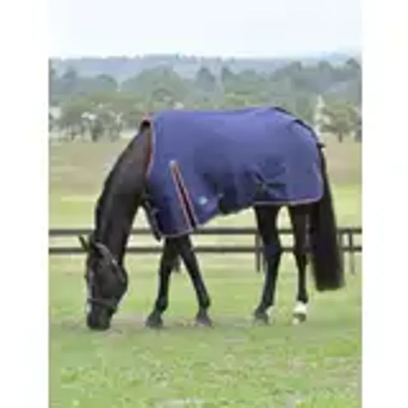 WeatherBeeta ComFiTec Essential Standard Turnout Rug 220G -1