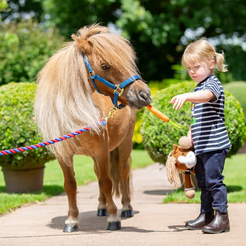 Winne and Me Childs Jodhpurs Navy-6