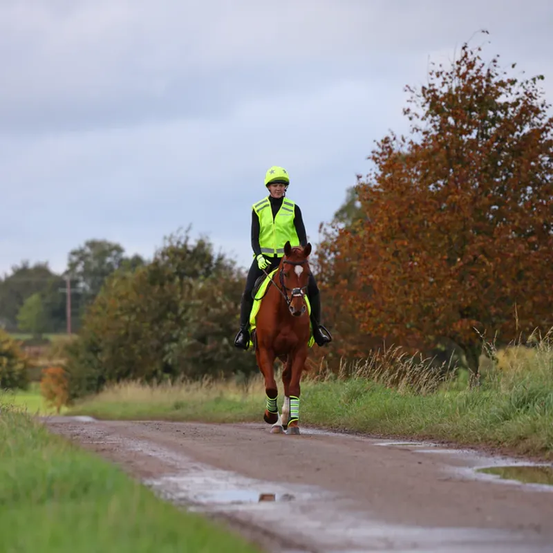 EQUI-FLECTOR Safety Vest - YELLOW-2