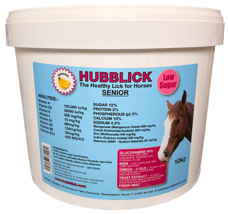 Hubblick - Senior-2