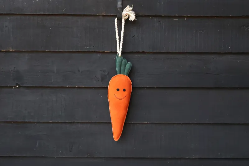Hy Equestrian Stable Toy - Crunchie the Carrot-1