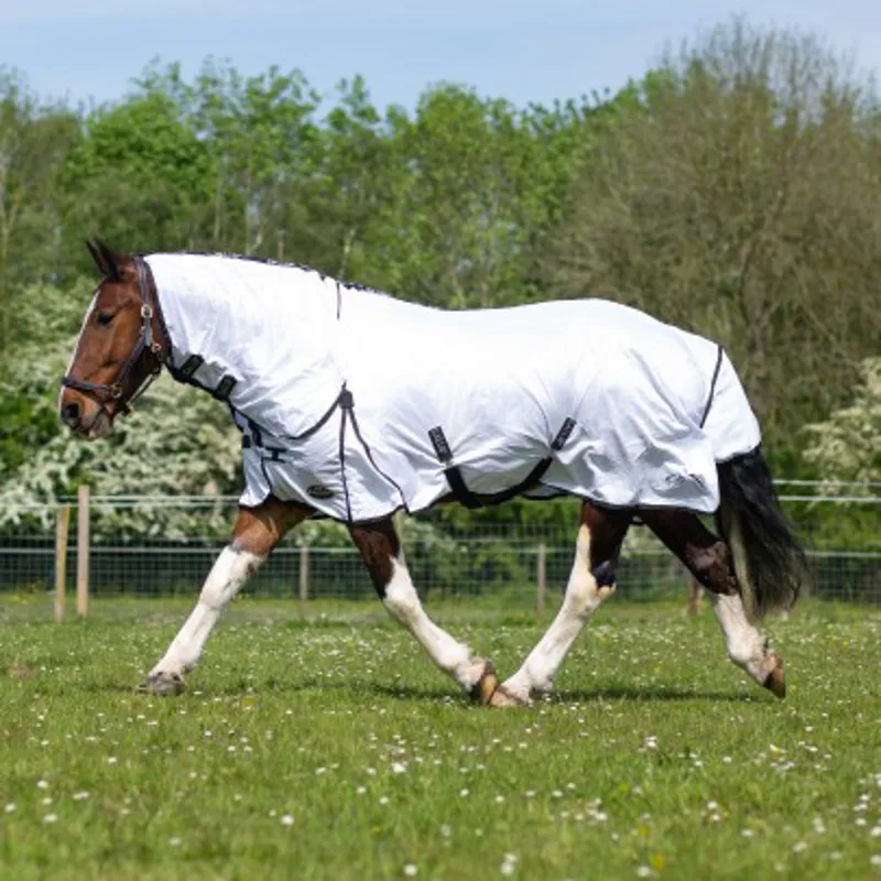 Gallop Classic Fly Rug Combo  - White-2