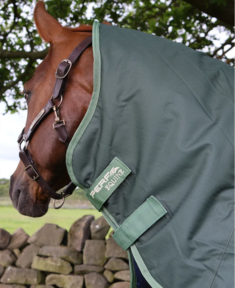 Perf Detachable Neck 300g Turnout Rug - Dark Green-2