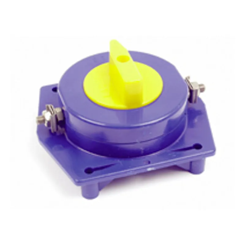 Wolseley Cut Out Switch