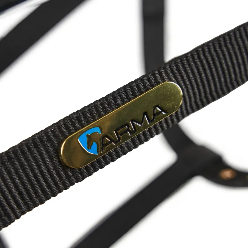 ARMA Fleece Lined Lunge Cavesson BLACK-4