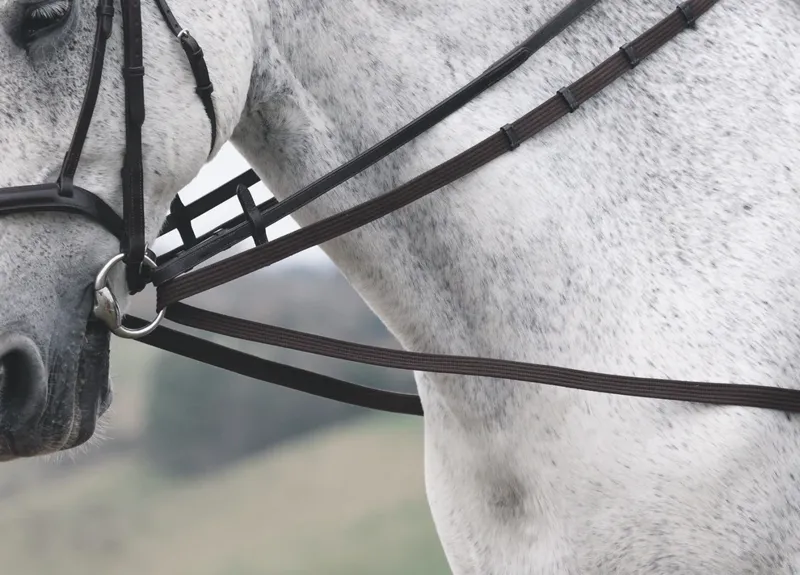 Velociti GARA Cotton Web Draw/Running Reins - BLACK 