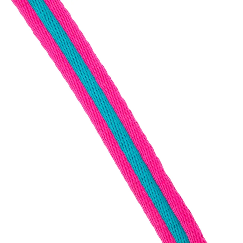 ARMA Cushion Web Lunge Line MAGENTA/DARK CYAN 8m/26'-1