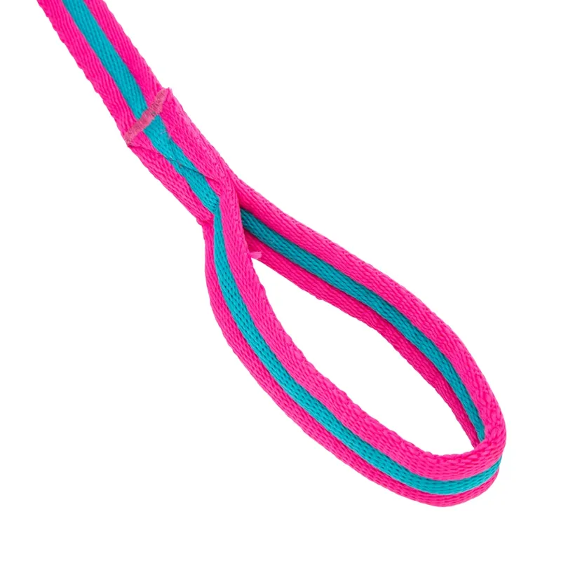 ARMA Cushion Web Lunge Line MAGENTA/DARK CYAN 8m/26'-3
