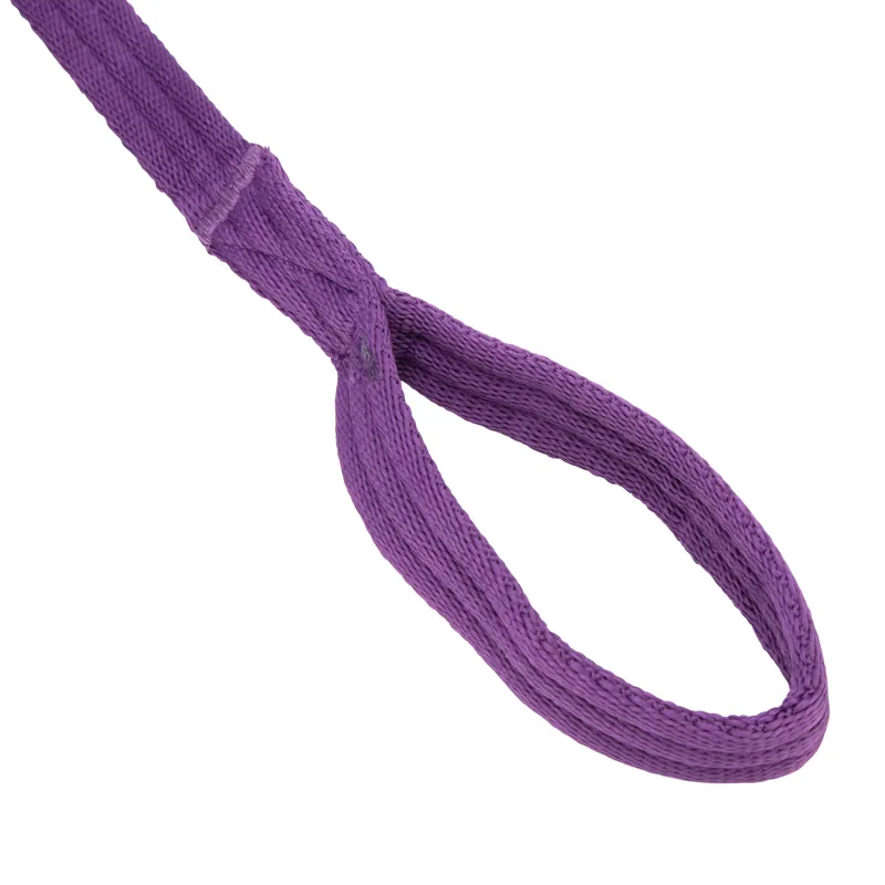 ARMA Cushion Web Lunge Line BLACK CHERRY 8m/26'-3