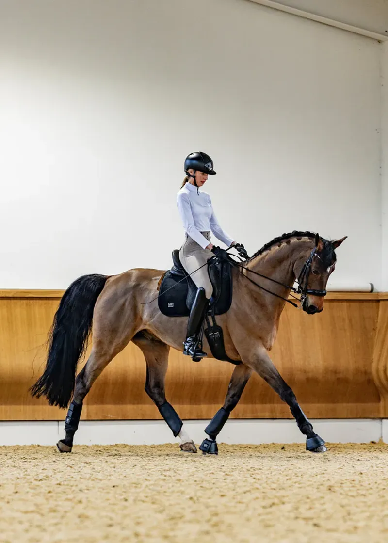 WoofWear Elite Comfort Plus Saddle Pad Dressage Black Full-2