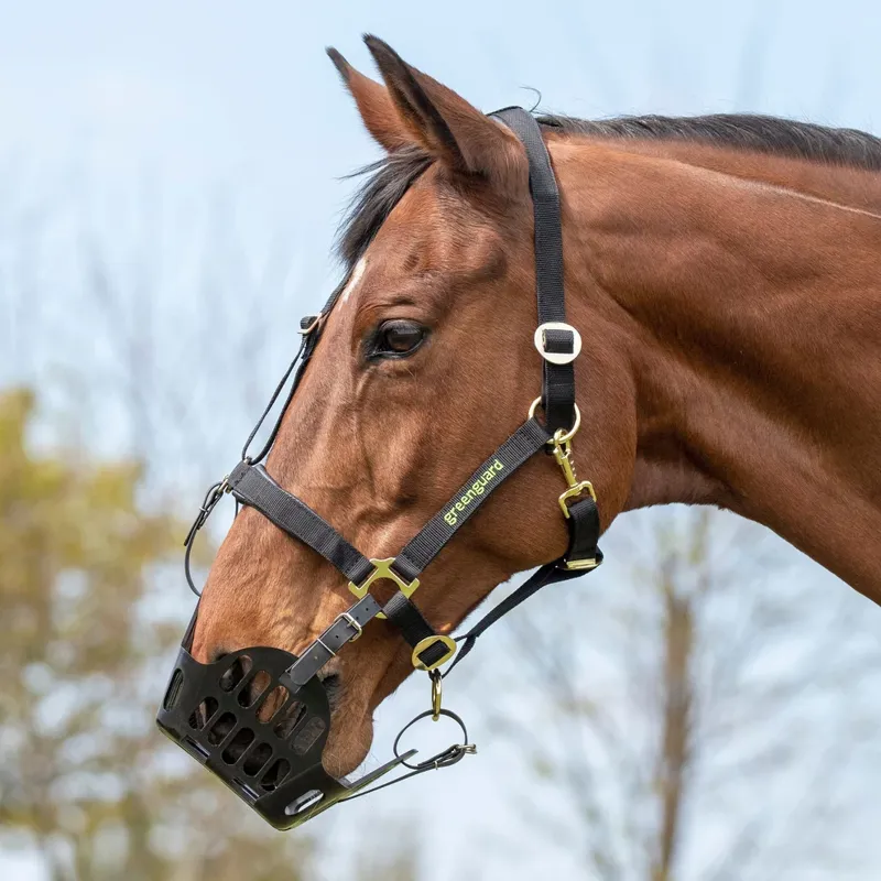 Greenguard Grazing Muzzle-2