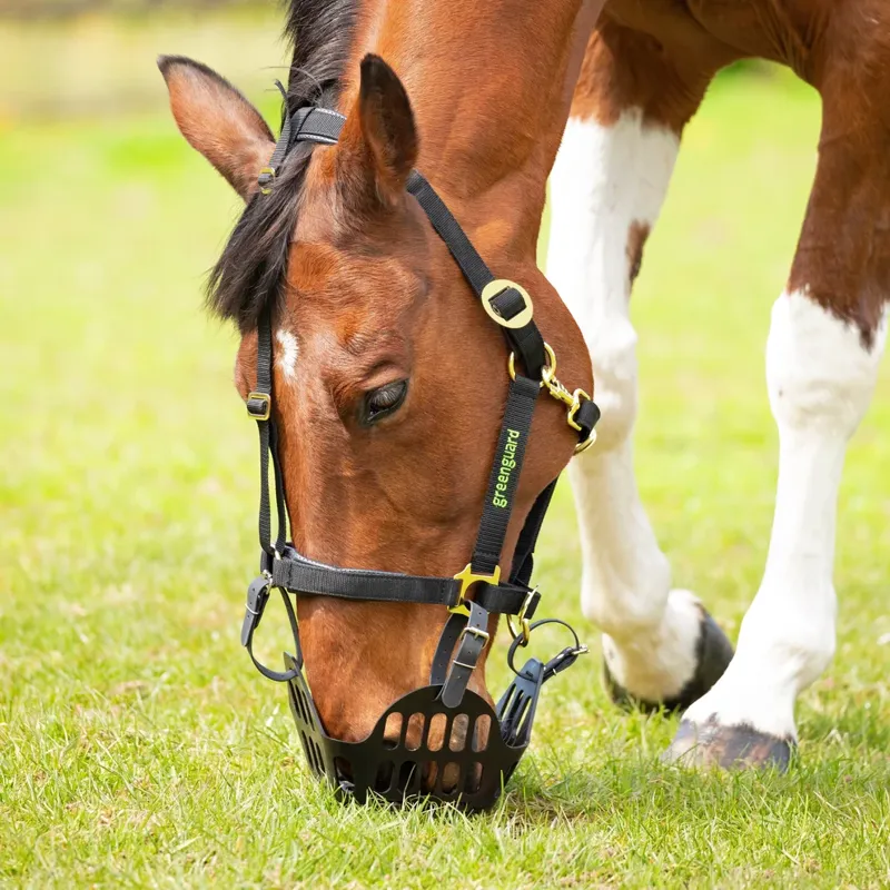 Greenguard Grazing Muzzle-1