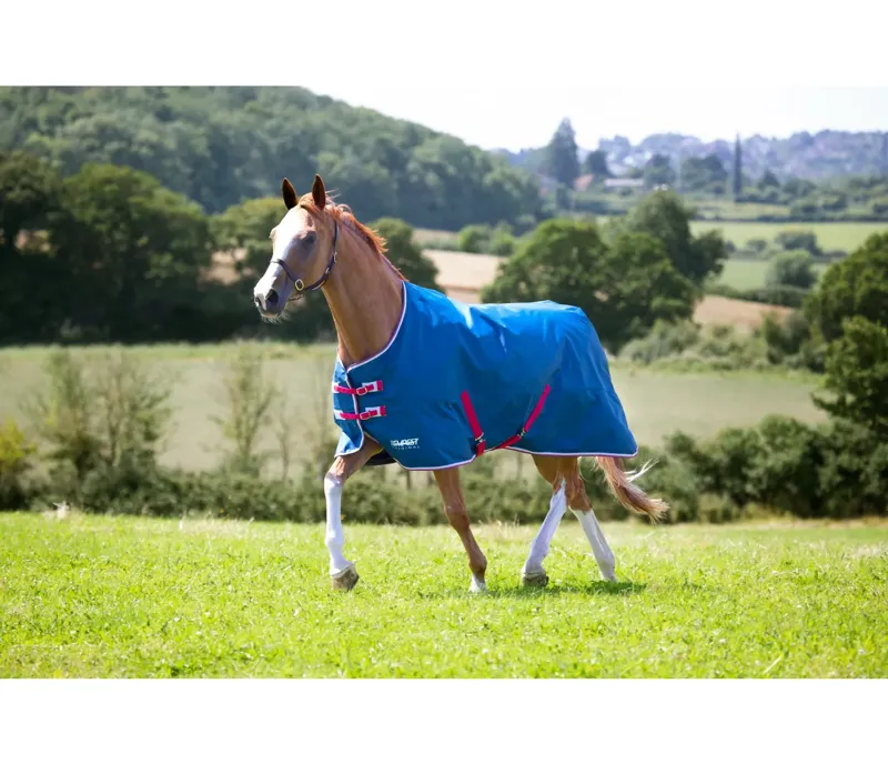 Shires Tempest Original Lite Turnout Rug - Teal