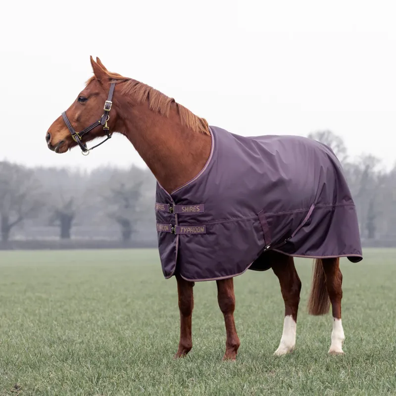 Typhoon 100g Turnout Rug - BLACK CHERRY-2