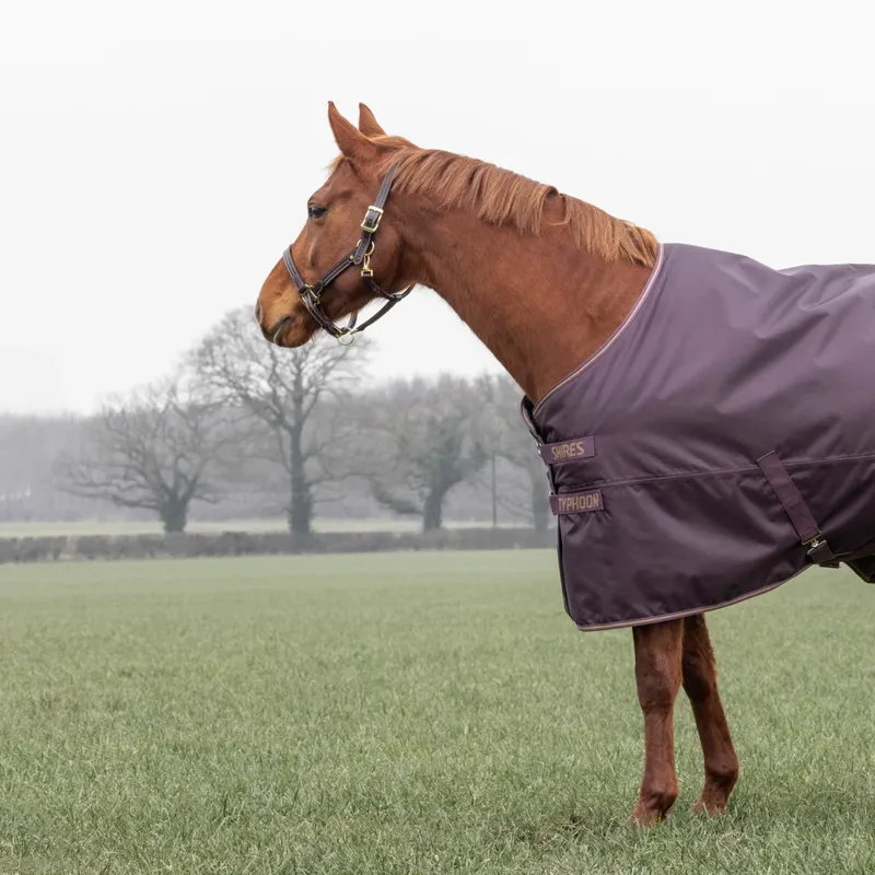 Typhoon 100g Turnout Rug - BLACK CHERRY-6