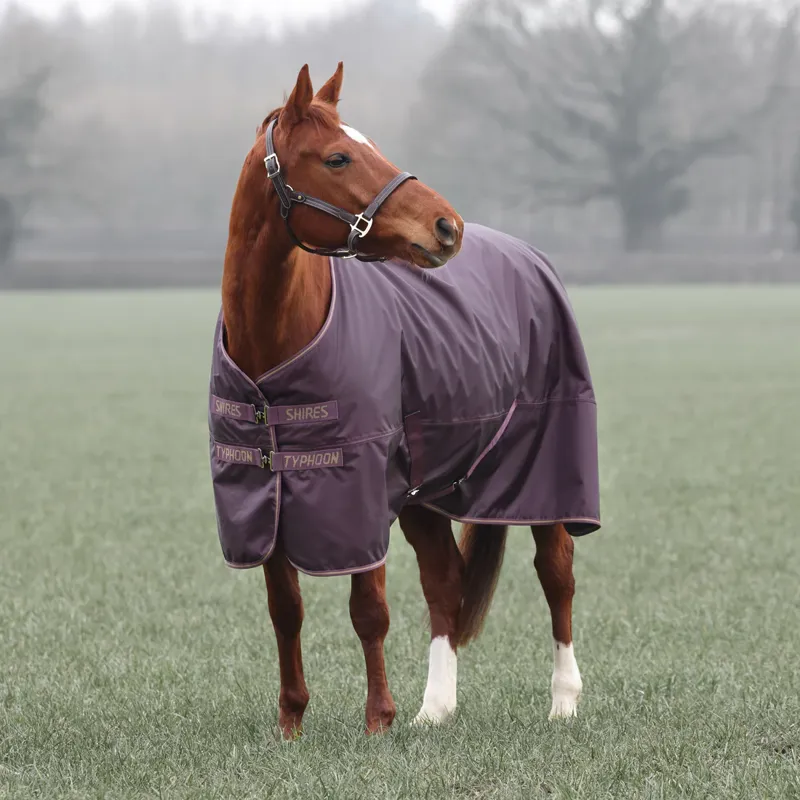 Typhoon 100g Turnout Rug - BLACK CHERRY-1