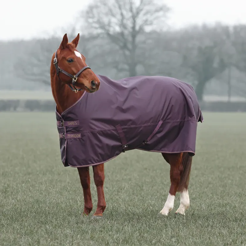 Typhoon 100g Turnout Rug - BLACK CHERRY