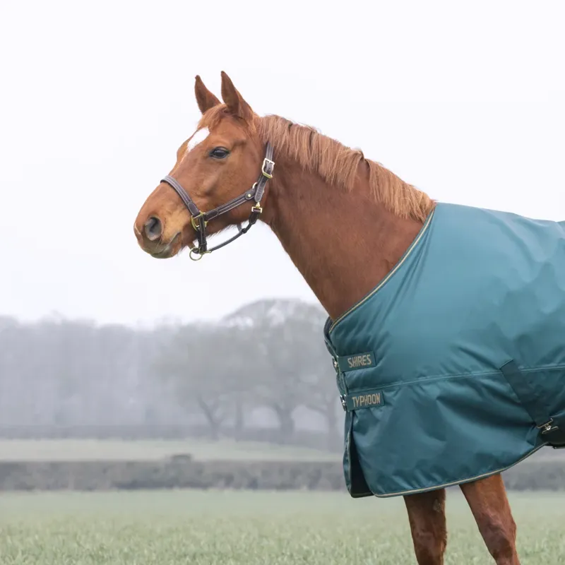 Shires Typhoon 200 Turnout Rug  - GREEN-1