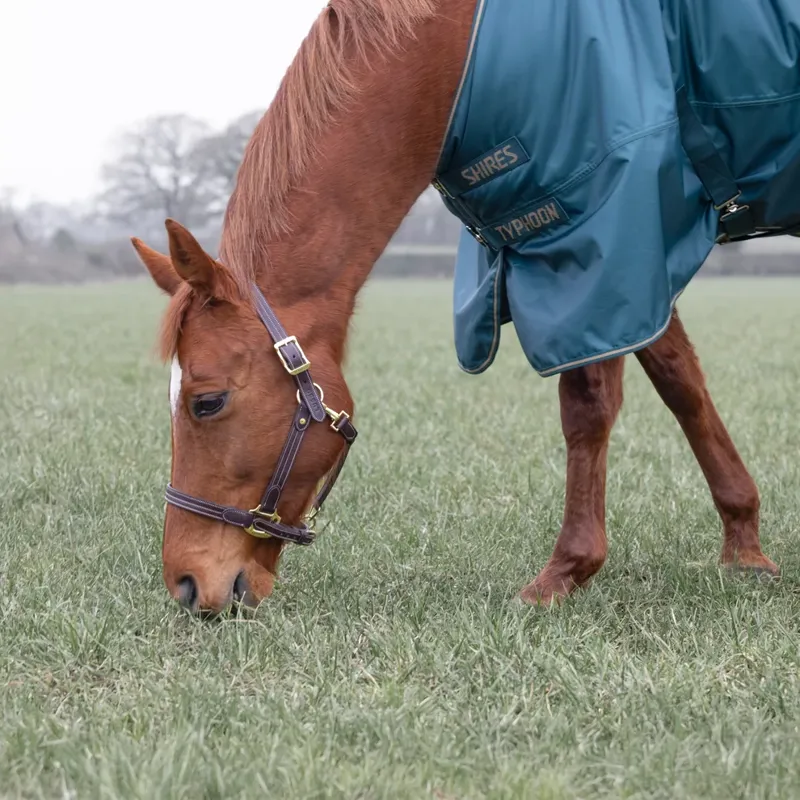 Shires Typhoon 200 Turnout Rug  - GREEN-3