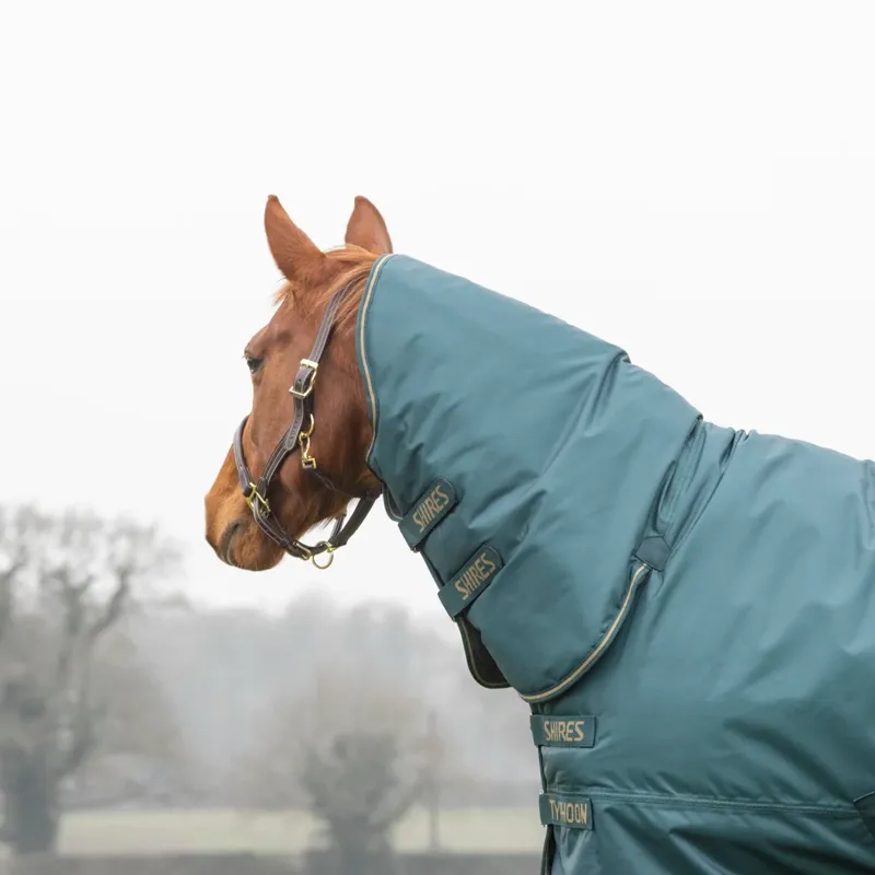 Shires Typhoon 200 Combo Turnout Rug - GREEN-1
