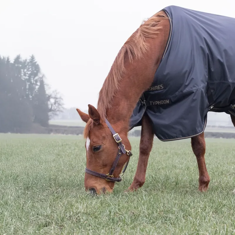 Shires Typhoon 50 Turnout Rug  - BLACK-1