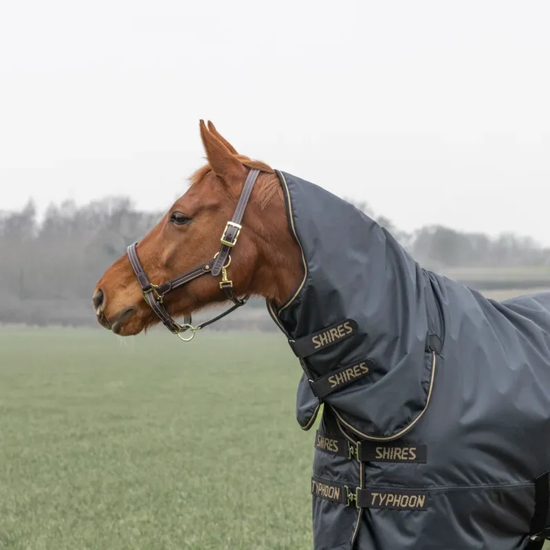 Shires Typhoon 50g Combo Turnout Rug - BLACK-3