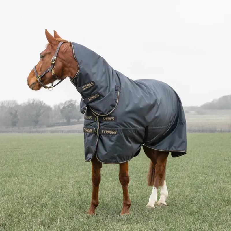 Shires Typhoon 50g Combo Turnout Rug - BLACK-2