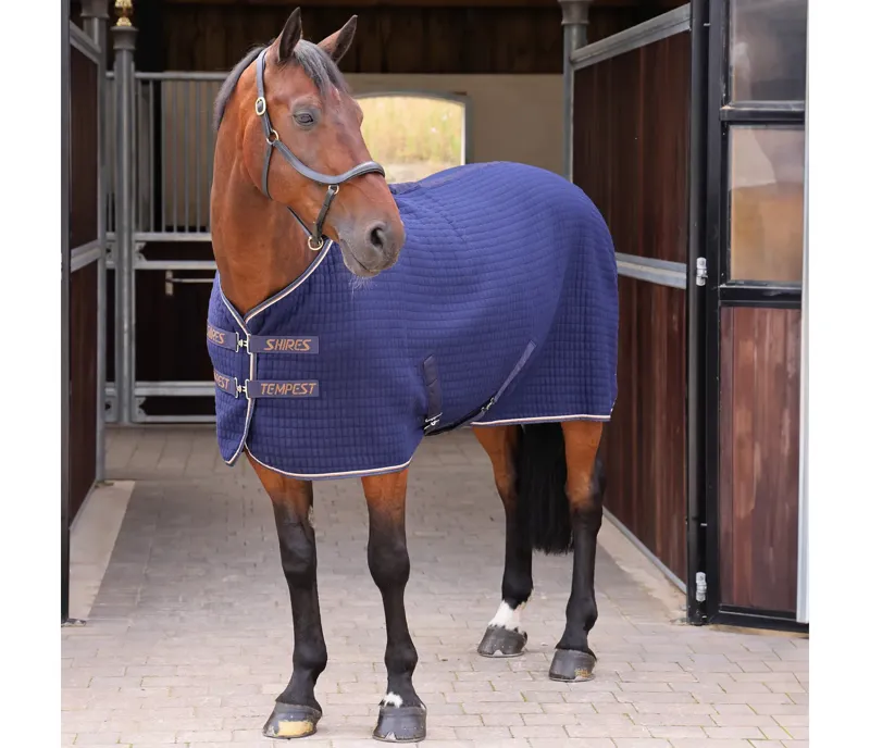 Shires Tempest Original Tech Cooler Rug - Ink