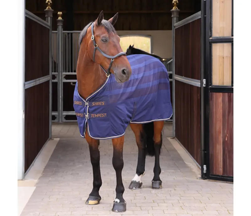 Shires Tempest Original Scrim Cooler Rug - Ink