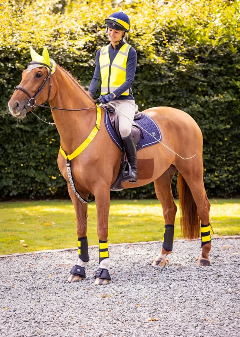 WoofWear Hi Vis Riding Whip 110cm - Yellow-3