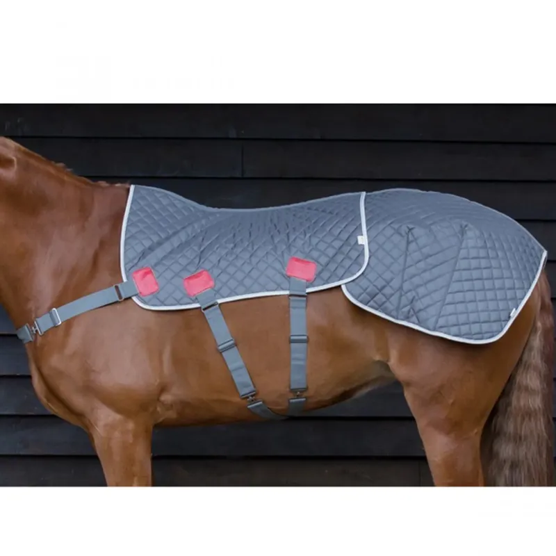 Equilibrium Magnetic Back and Quarters Pad