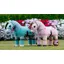 LeMieux Toy Pony Rug Lagoon