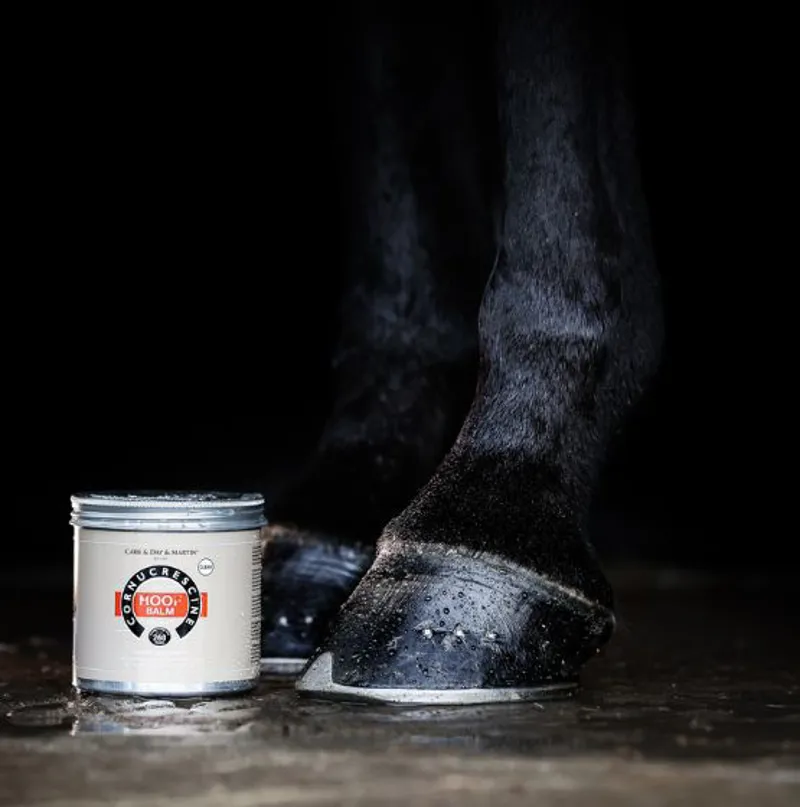 Carr and Day and Martin Cornucrescine Hoof Balm - Clear-1