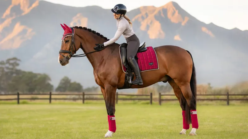 LeMieux Loire Classic Dressage Square - Ember - Large-3