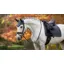 LeMieux Loire Classic Dressage Square - Petrol - Large