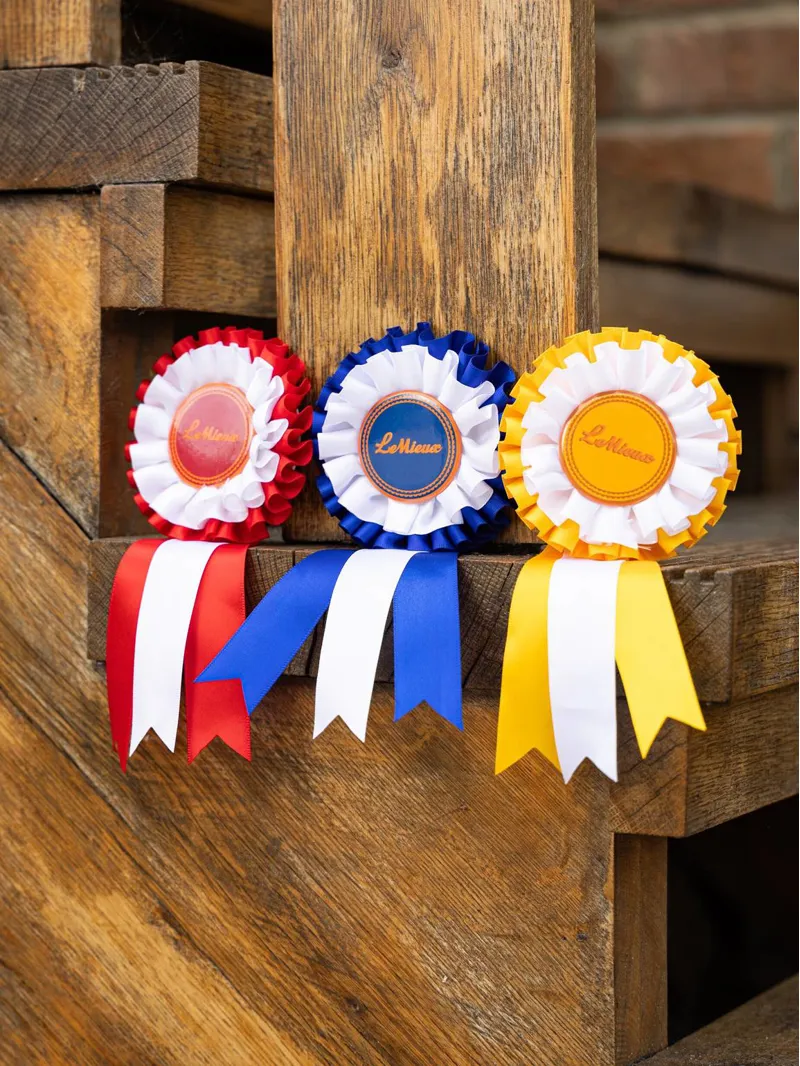 LeMieux Hobby Horse Rosette Multipack-4