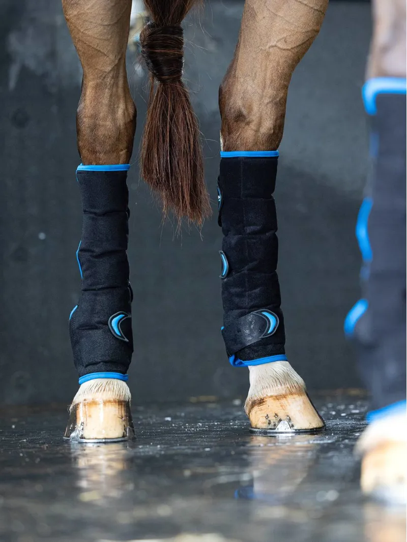 LeMieux Freeze Flow Ice Boot - Black - Hind-1