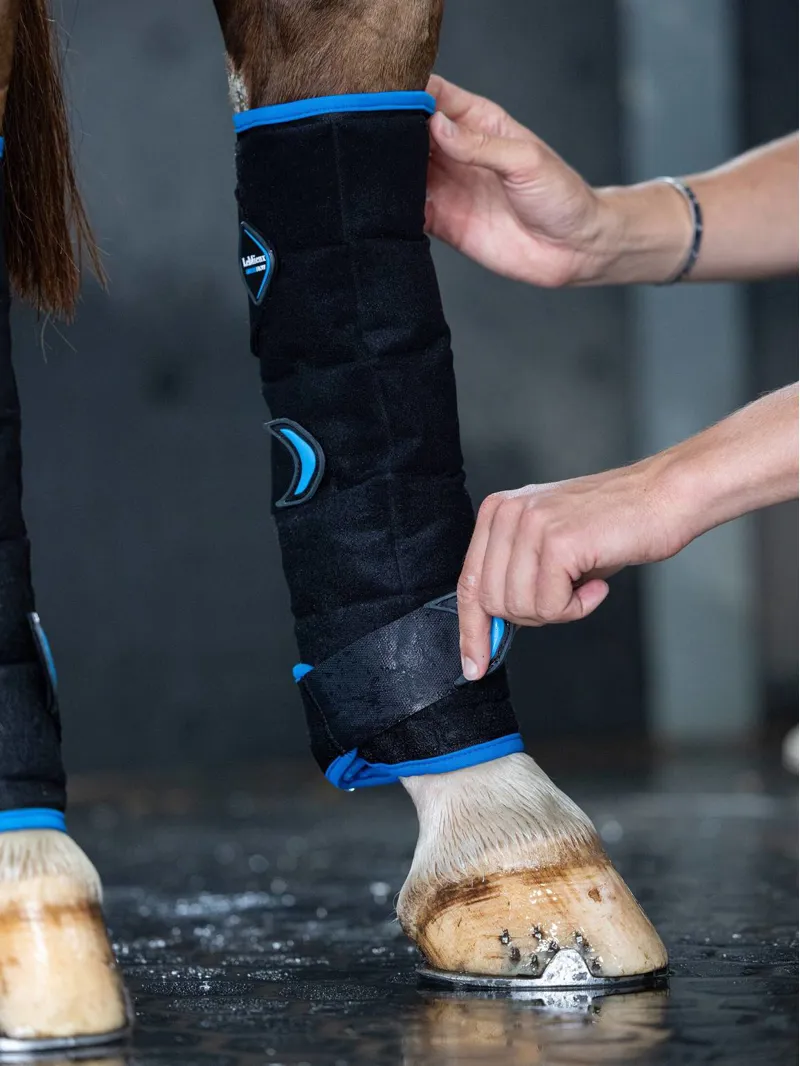 LeMieux Freeze Flow Ice Boot - Black - Hind-2