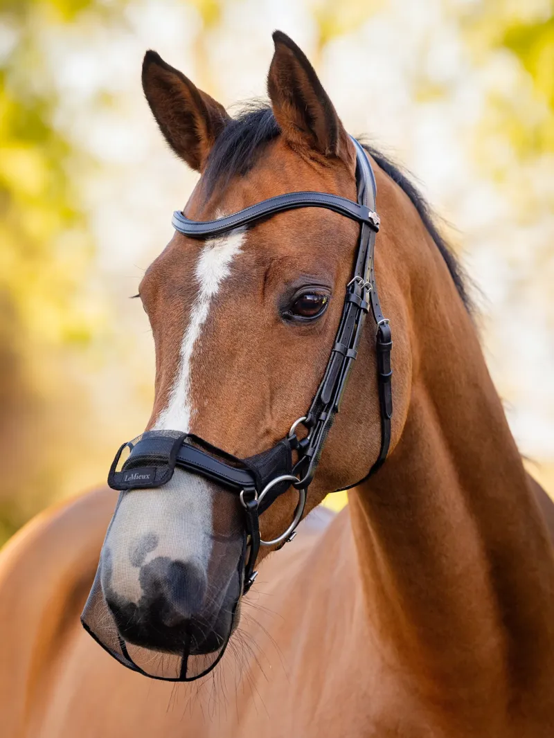 Lemieux Comfort Shield Drop Nose Filter 2pk Black-1