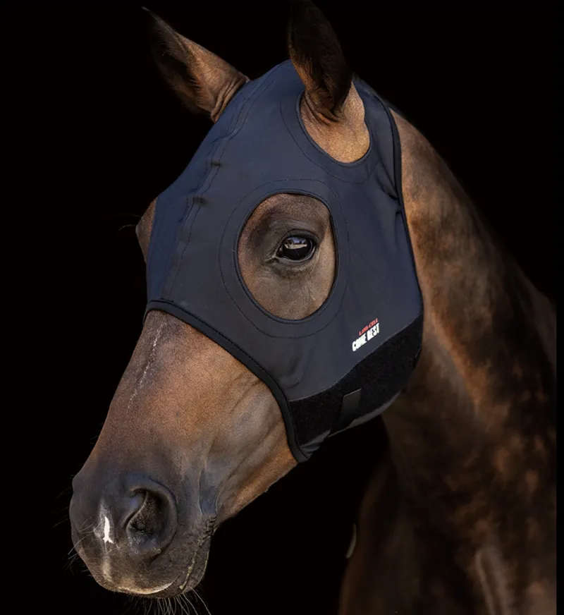 LAMI-CELL COME BEST TITANIUM MASK - NO EARS